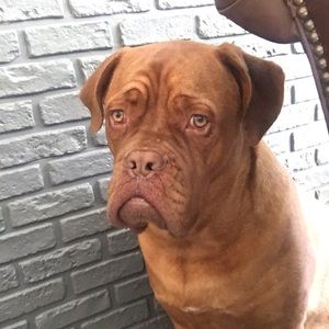 Meet your Posher, Jillian